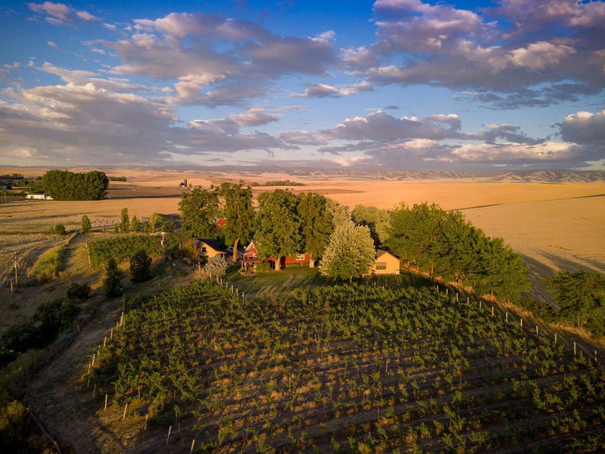 Armstrong Vineyard Cottage